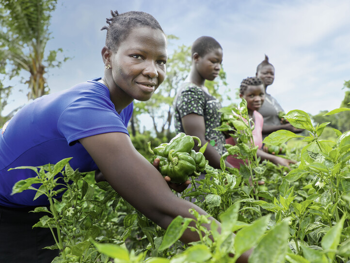 The story of farmers in self help groups
